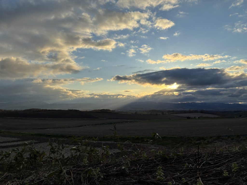 富良野の夕陽